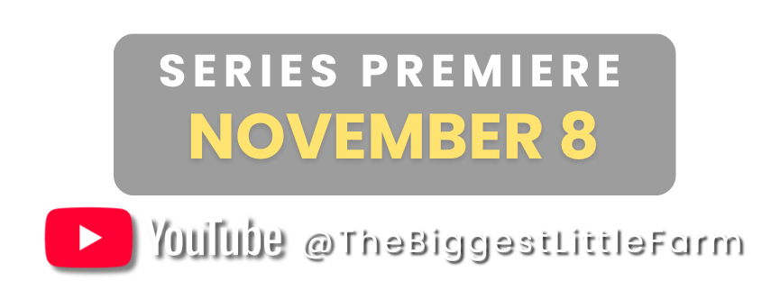 Watch on YouTube
